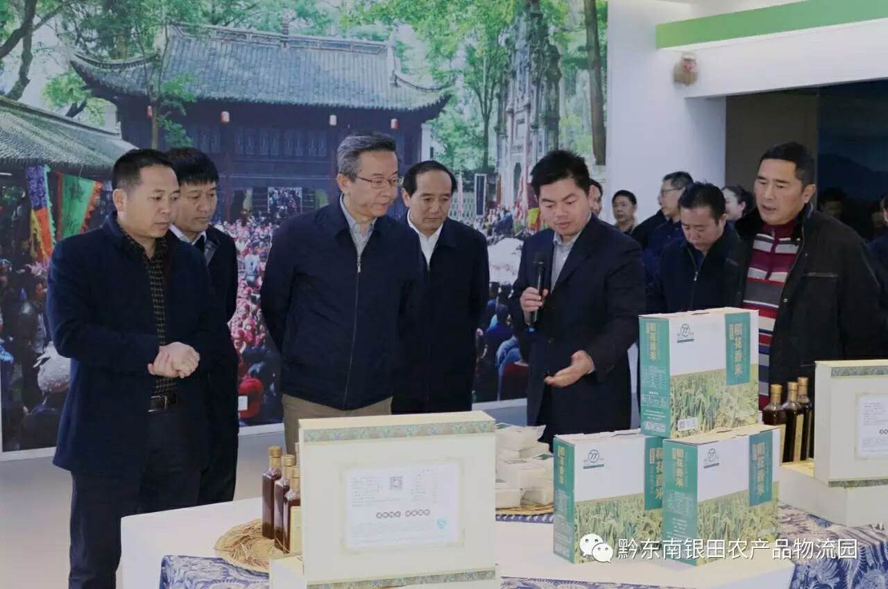 貴州省盧雍政副省長一行蒞臨黔東南銀田農(nóng)產(chǎn)品物流園調(diào)研