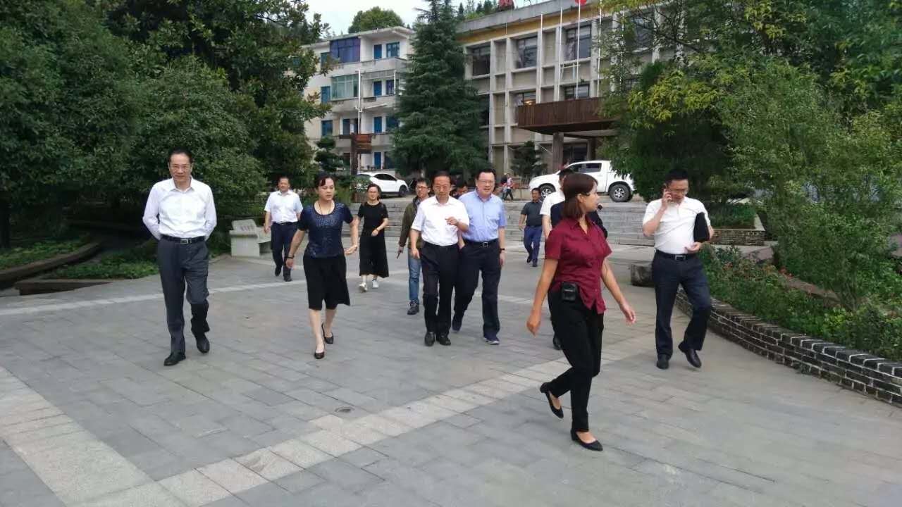 蘇州市政府副市長金潔一行到朱砂古鎮(zhèn)調(diào)研并指導工作